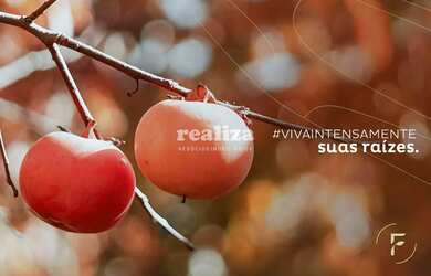 Imagem 12: TERRENO EM GRAMADO. 800m² de Área