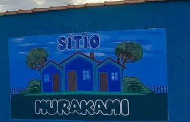 Imagem: A chácara possui 250m² de Área e está localizado em Caguassu