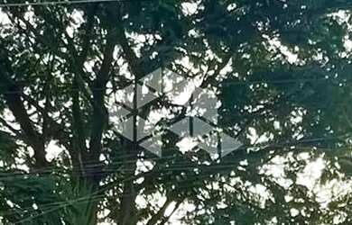 Imagem: A casa possui 4 Dormitórios, 4 Banheiros, 4 Vagas na garagem