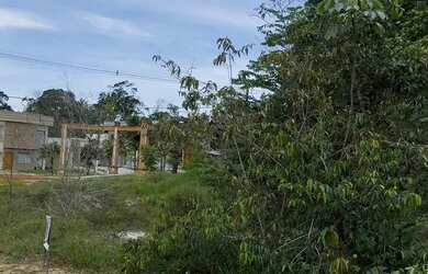 Imagem 4: Praia dos passarinhos Imóvel para venda com 800 metros quadrados em Ponta Negra - Manaus