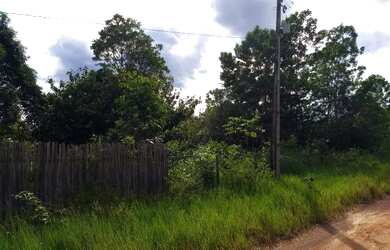 Imagem 11: Fazenda com 90 hectares na vila Equador/RR, ler descrição do anuncio