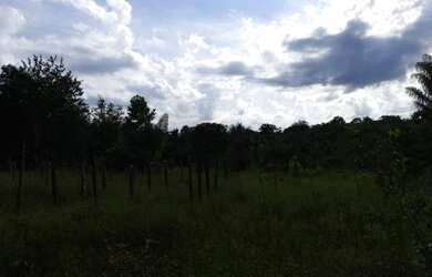 Imagem 14: Fazenda com 90 hectares na vila Equador/RR, ler descrição do anuncio