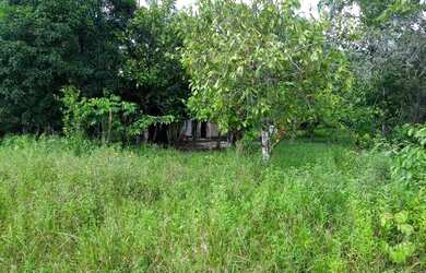 Imagem 6: Fazenda com 90 hectares na vila Equador/RR, ler descrição do anuncio