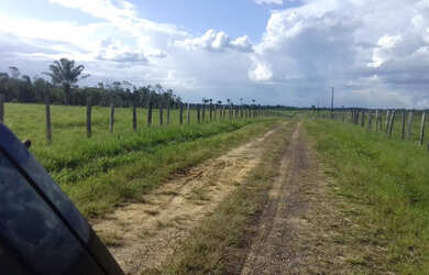 Imagem 13: 2.100 hectares a 8 mil reais o hectare com 70 de abertura em pasto