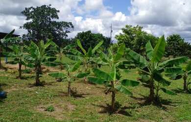 Imagem 4: Venda motivo viagem. 130m² de Área