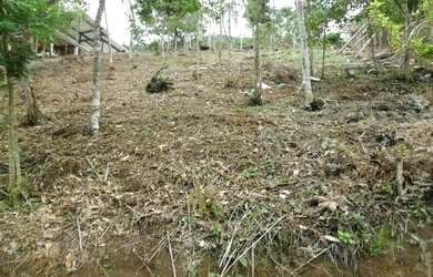 Imagem: O terreno possui 429m² de Área e está localizado em Vargem