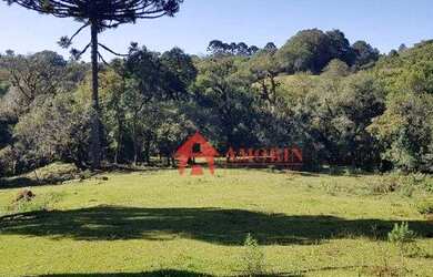 Imagem 1: Área à venda, 134645 m² - Tanguá - Almirante Tamandaré/PR