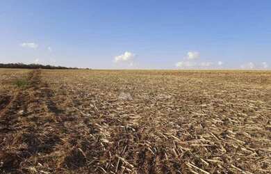 Imagem 9: Fazenda à venda, 968000 m² por R$ 13.500.000,00 - Zona Rural - Rio Verde/GO