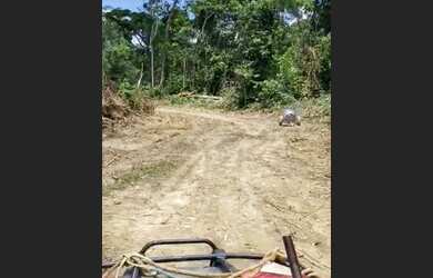 Imagem 6: VENDO FAZENDA 1200 hec BRUTA REGIÃO DE AMAJARI RORAIMA 6100