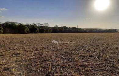 Imagem 11: Fazenda à venda, 968000 m² por R$ 13.500.000,00 - Zona Rural - Rio Verde/GO