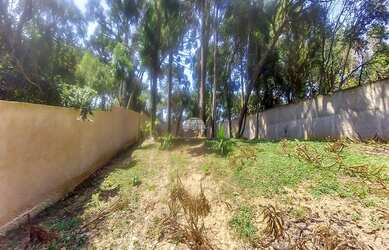Imagem 4: Terreno para venda com 620 m², murado bairro Estados - Fazenda Rio Grande/PR...