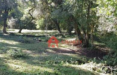 Imagem 8: Área à venda, 134645 m² - Tanguá - Almirante Tamandaré/PR