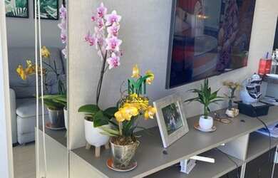 Imagem 11: CAXIAS DO SUL - Apartamento Padrão - Colina Sorriso