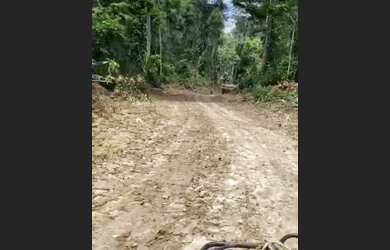 Imagem 4: VENDO FAZENDA 1200 hec BRUTA REGIÃO DE AMAJARI RORAIMA 6100