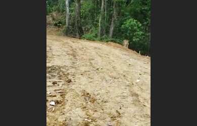 Imagem 9: VENDO FAZENDA 1200 hec BRUTA REGIÃO DE AMAJARI RORAIMA 6100