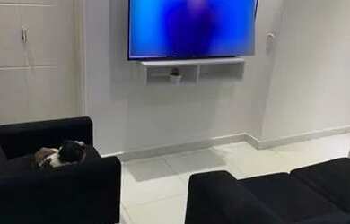 Imagem 6: Apartamento à venda em Cidade Líder com 46 m², 3 quartos, 1 vaga