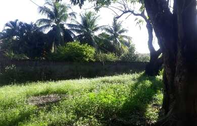 Imagem 3: Casa em condomínio no Pina