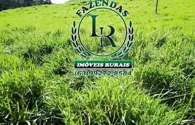 Imagem: A chácara está localizado em Plano Diretor Sul, Palmas à