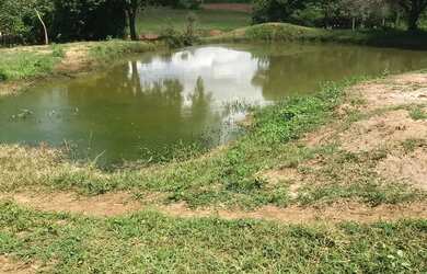 Imagem 9: Chácara a venda. 24.000m² de Área