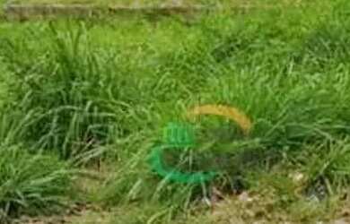 Imagem 2: Terreno à venda, 320 m² - Jardim São Vicente - Campinas/SP