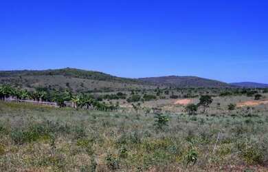 Imagem 8: FAZENDA EM BOA VISTA DO TUPIM - 6000 TAREFAS