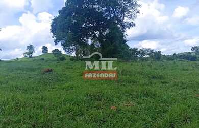 Imagem 12: Fazenda 103 Alqueires 500 Hectares Piracanjuba - GO