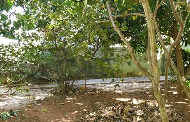 Imagem 3: Terreno em Americana. 324m² de Área