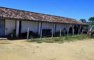 Imagem 7: FAZENDA EM BOA VISTA DO TUPIM - 6000 TAREFAS