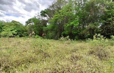 Imagem 9: TERRENO RURAL 5.264 m² - / ANTÔNIO OLINTO - MONTES CLAROS MG