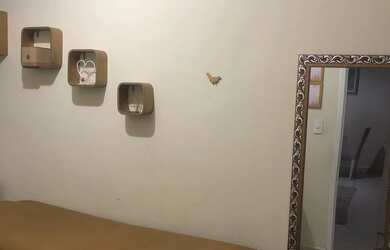 Imagem: O quarto está localizado em Boqueirão, Santos para alugar