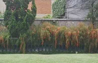 Imagem: O apartamento possui 4 Dormitórios, 4 Banheiros, 5 Vagas na