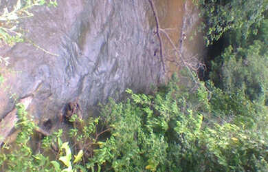 Imagem 6: 2.100 hectares a 8 mil reais o hectare com 70 de abertura em pasto