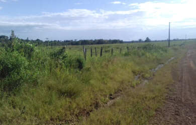 Imagem 16: 2.100 hectares a 8 mil reais o hectare com 70 de abertura em pasto