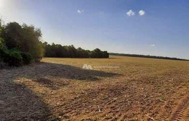 Imagem 8: Fazenda à venda, 968000 m² por R$ 13.500.000,00 - Zona Rural - Rio Verde/GO