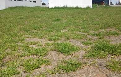 Imagem: O terreno está localizado em Uvaranas, Ponta Grossa à venda