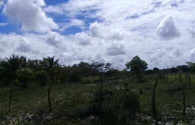 Imagem 5: Terreno Área à venda, Zona Rural - Pirambu/SE