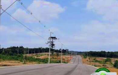 Imagem 3: Lote/Terreno para venda no bairro Costeira - Araucária - PR