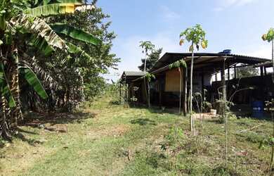 Imagem: O terreno possui 999m² de Área e está localizado em Flores