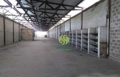 Imagem 4: Galpão, 1.800 m² - Centro - Contagem/MG