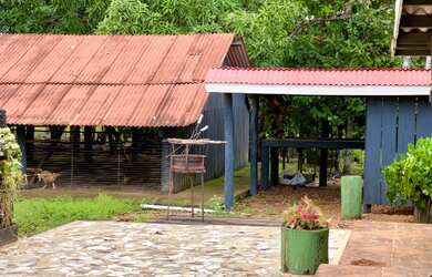 Imagem 3: Fazenda à 27km de Porto Velho - BR 319 - 773 hectares