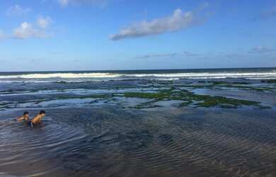 Imagem: A casa para alugar possui 5 Dormitórios, 5 Banheiros, 3 Vagas