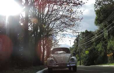 Imagem 10: Terreno - Bairro Serra Grande