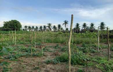 Imagem: A chácara possui 1500m² de Área e está localizado em Santa