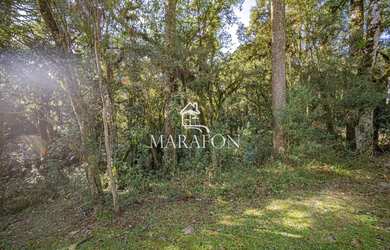 Imagem 6: TERRENO À VENDA EM CANELA NO CONDOMÍNIO PINHEIRO GROSSO