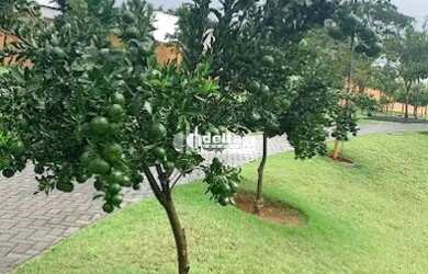 Imagem 8: Terreno no condomínio disponível para venda no bairro Granja Marileusa em Uberlândia-MG