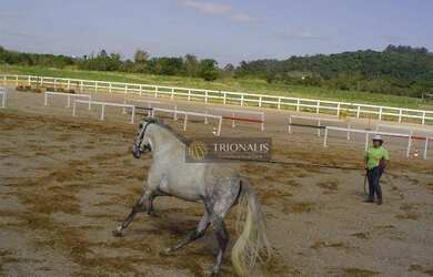 Imagem 6: Terreno à venda, 876 m² por R$ 400.000,00 - Condominio Porto Atibaia...