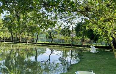 Imagem 3: Belíssima Chácara a Venda em Bragança Paulista