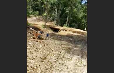 Imagem 5: VENDO FAZENDA 1200 hec BRUTA REGIÃO DE AMAJARI RORAIMA 6100