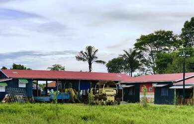 Imagem 7: Fazenda à 27km de Porto Velho - BR 319 - 773 hectares