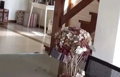 Imagem 6: Excelente casa a venda em condomínio na Freguesia